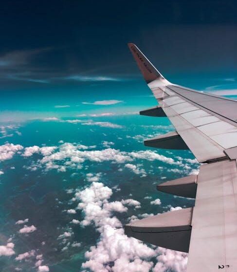 Jet-Setting with Fido: Tips for Flying with Your Pet!