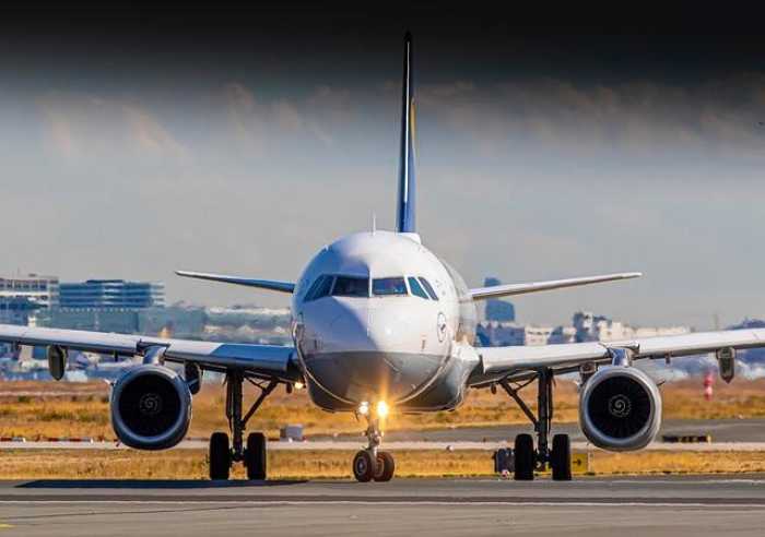 Jet-Setting with Fido: Your Guide to International Pet Travel!