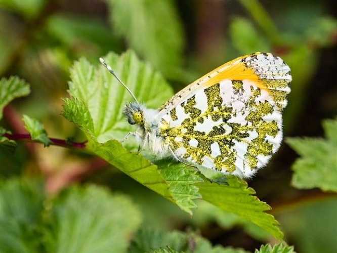 Top Travel Tips: Your Ultimate Guide to Hassle-Free Adventures!