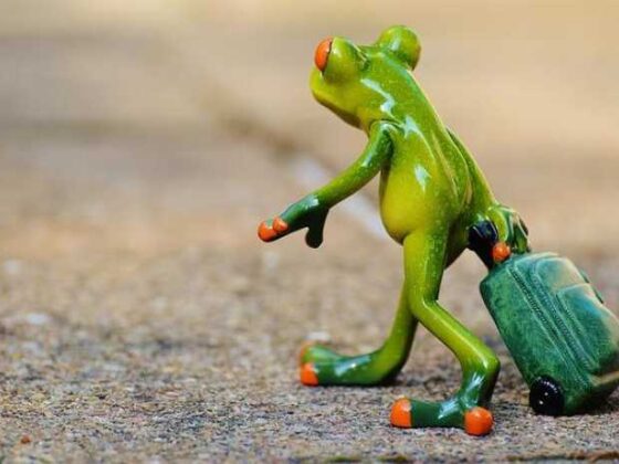 Travel Like a Pro: 10 Tips for Your Next Adventure!