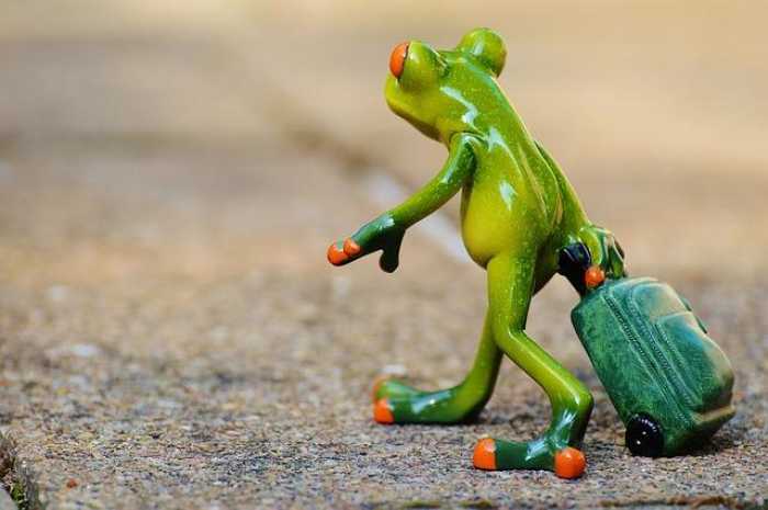 Travel Like a Pro: 10 Tips for Your Next Adventure!