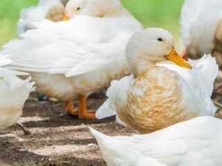 Chasing Beauty: Top Stunning Spots Around the Globe!