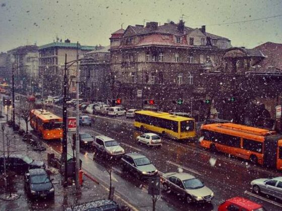 Why Buses are the Ultimate Travel Buddy on a Budget!