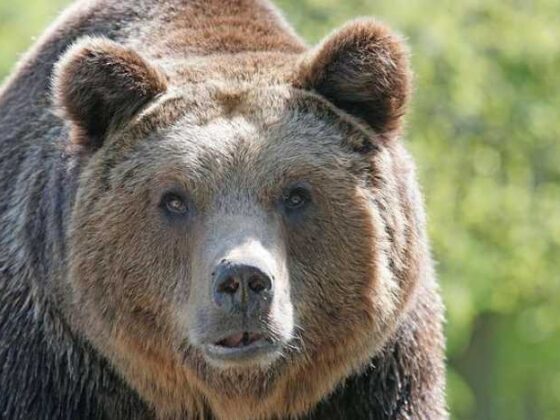 Mastering the Art of Packing: Travel Tips You’ll Love!