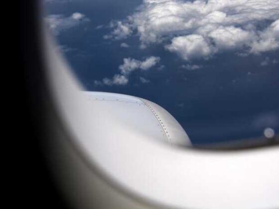 Pawesome Tips for Traveling with Your Furry Bestie!