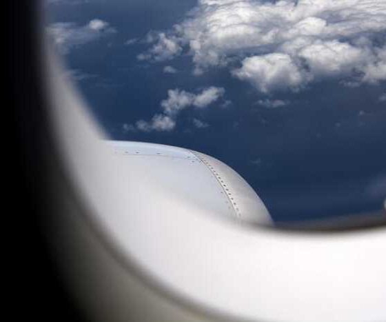 Pawesome Tips for Traveling with Your Furry Bestie!