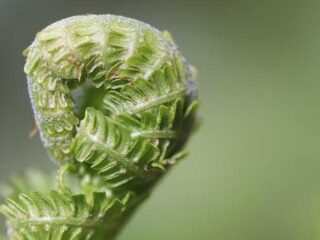 Epic Travel Tips Every Student Needs for Their Adventures!