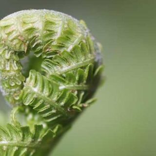 Epic Travel Tips Every Student Needs for Their Adventures!