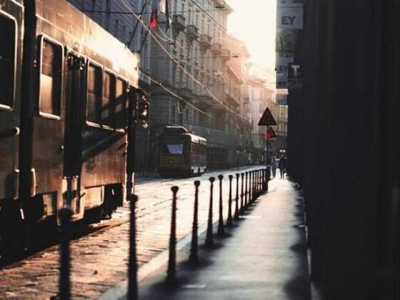 Bus Travels: The Fun, Quirky Way to Explore the World!