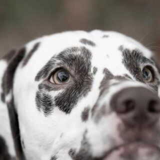 Discover These 10 Unique Spots to Visit Around the Globe!