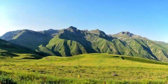 Sky-High Secrets: Fun Tips for Your Next Flight Adventure!