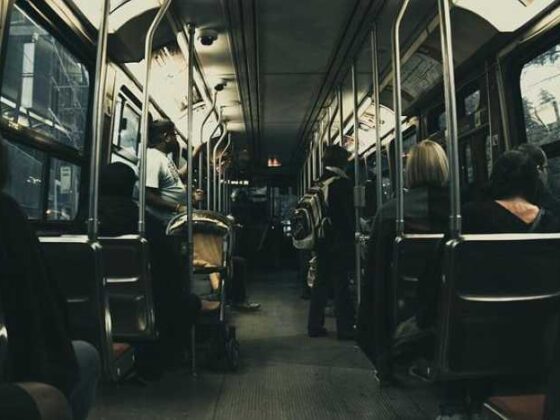 Hop On! Why Bus Travel is the Best Way to See the World