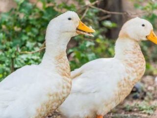 Chasing Beauty: The World’s Most Stunning Places to Visit!