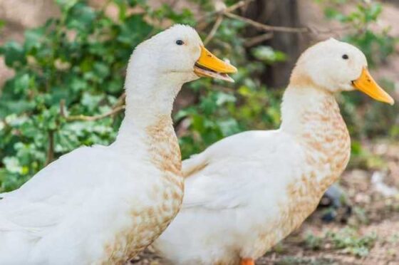 Chasing Beauty: The World’s Most Stunning Places to Visit!