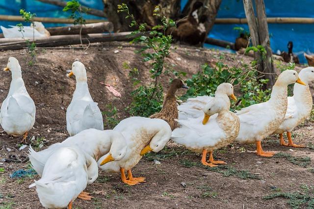 Hidden Gems‌ Off the Beaten Path for the‌ Adventurous Traveler