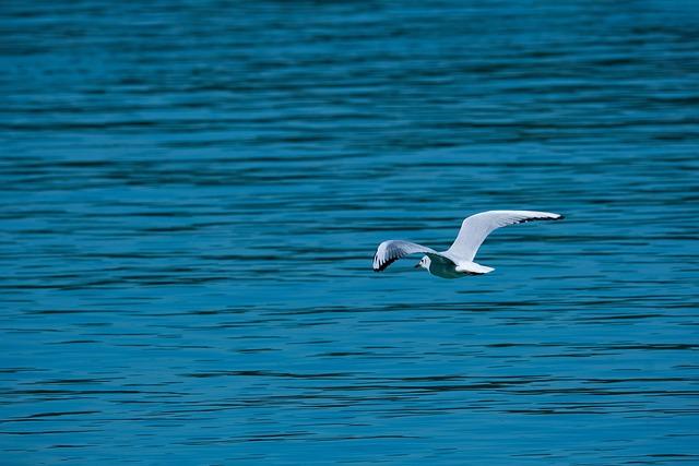 Preparing for Takeoff: Essential Packing ⁣Hacks You‍ Need to know