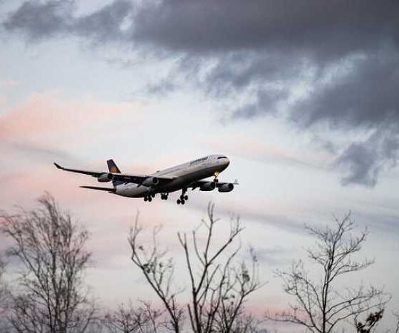 Woofing Around the World: A Guide to International Pet Travel