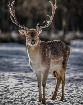 Pack Like a Pro: Insider Tips for Stress-Free Travel!