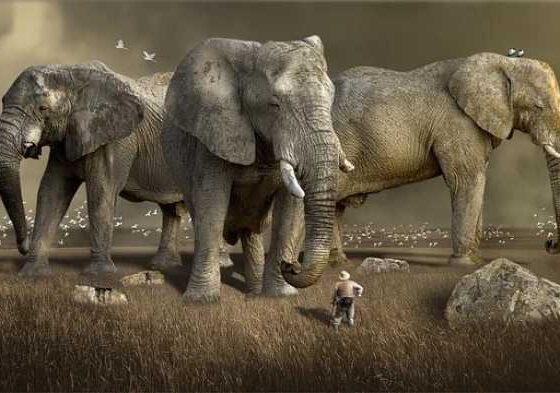 Unleash Your Inner Explorer: Adventure Travel Packages Await!