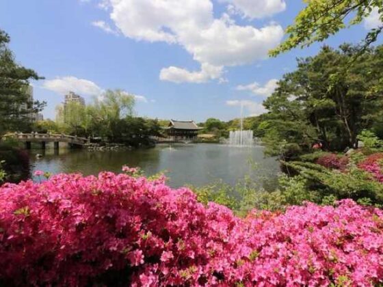 Why Travel YouTubers Are Your New Best Travel Buddies