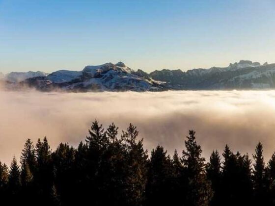 Sky High Savvy: Essential Travel Tips for Flying Fun!