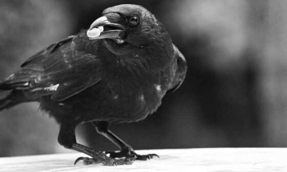 Fly Smart: Fun and Easy Travel Tips You Need to Know!