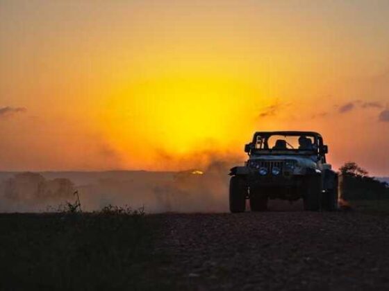 Epic Adventure Travel Ideas You Need to Try Now!
