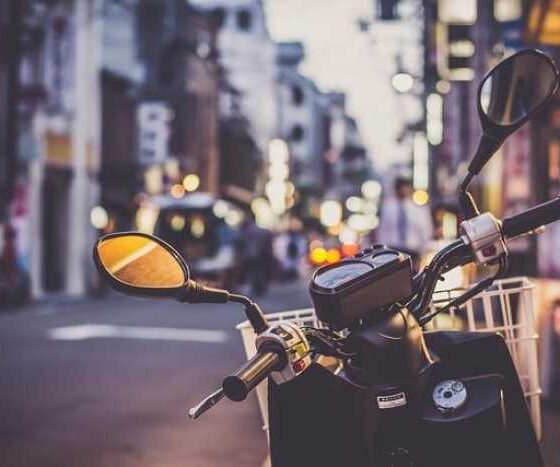 Paw-Some Adventures: Traveling with Your Furry Friend by Plane!