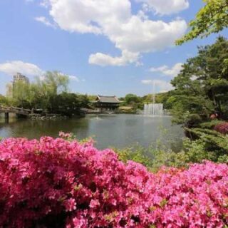 Meet Your Next Adventure: The Rise of Travel YouTubers!