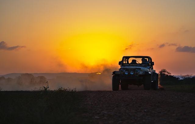 Epic Activities That Will Get Your Heart Racing
