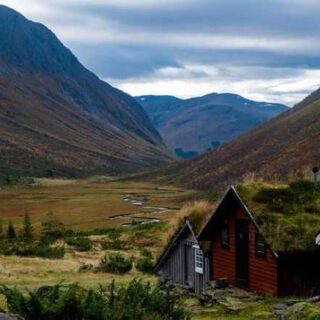 Unleash Your Wild Side: Top Adventure Travel Companies!