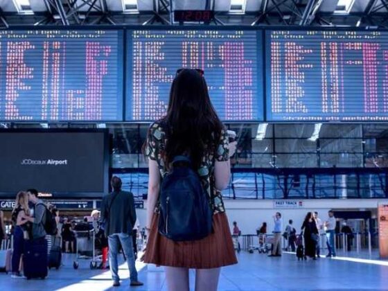 Why Traveling by Bus is the Ultimate Adventure on a Budget!